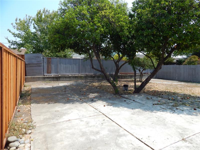 Backyard from back left