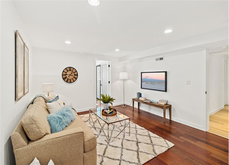 Lower Level living room