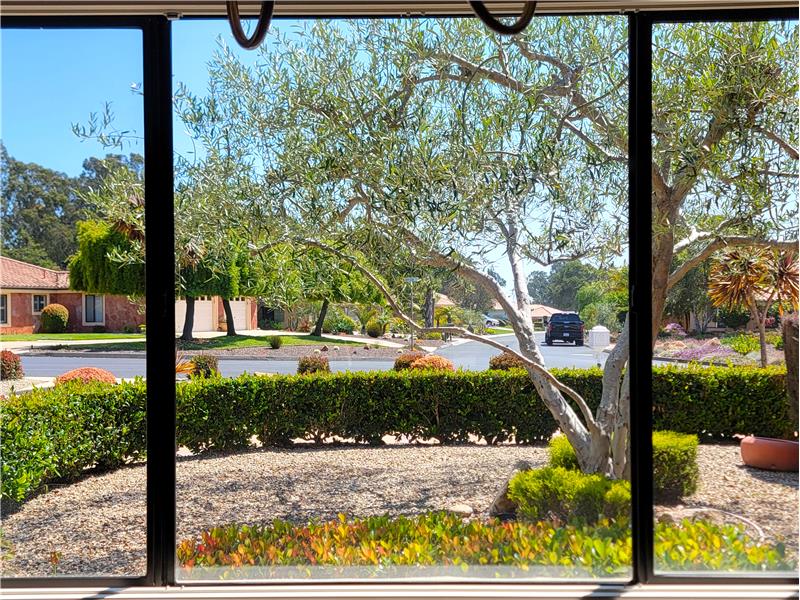 View from Formal Dining Room.