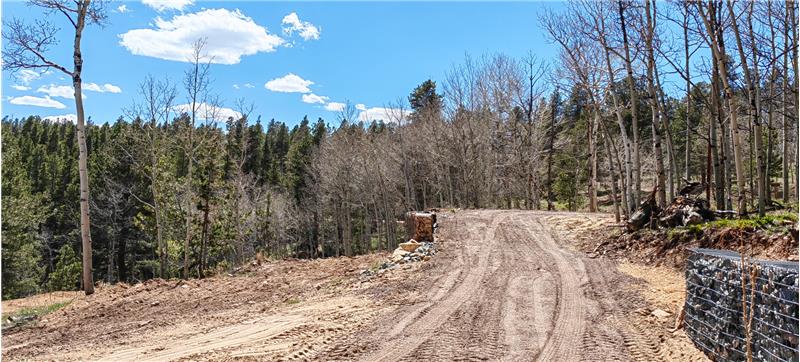 Driveway to Entry. Proposed Well to Right