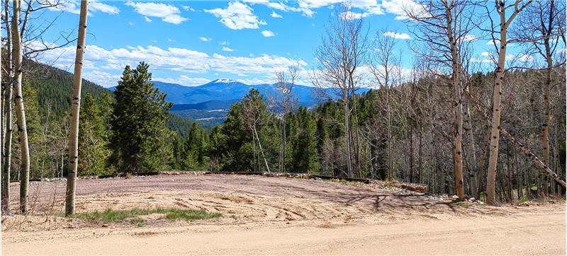 Coyote Circle to Driveway Transition