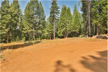 Primary listing photos for listing ID 529901