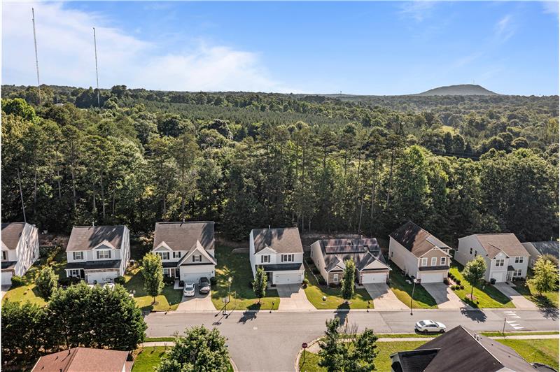 Aerial view of home and Blue Moss Drive