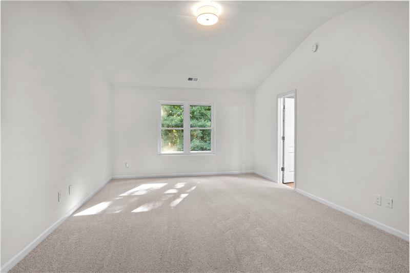 Large primary suite with vaulted ceiling, new light fixture