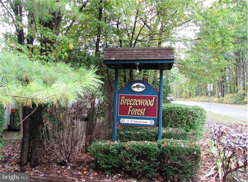 Welcome to Breezewood Forest