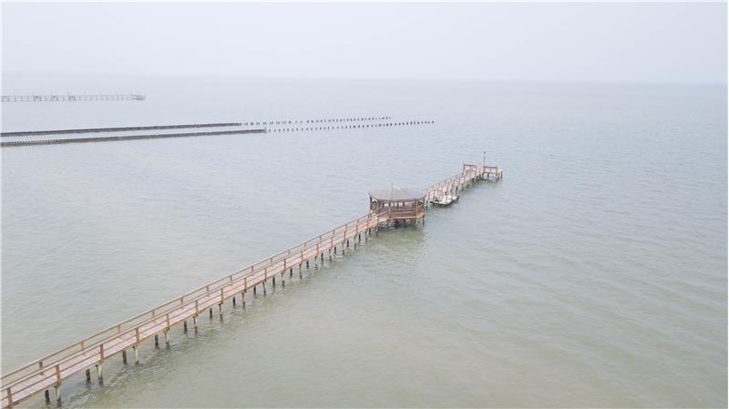 Pier (3)