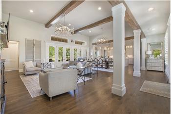 Foyer & living room