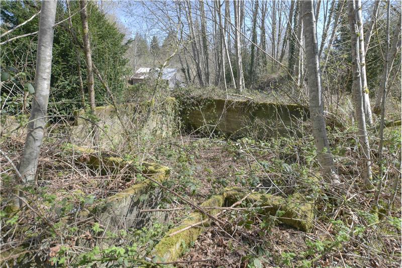 Former house's foundation.