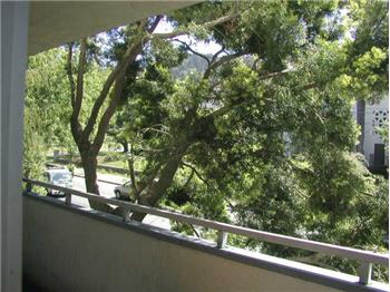 Primary listing photos for listing ID 599302