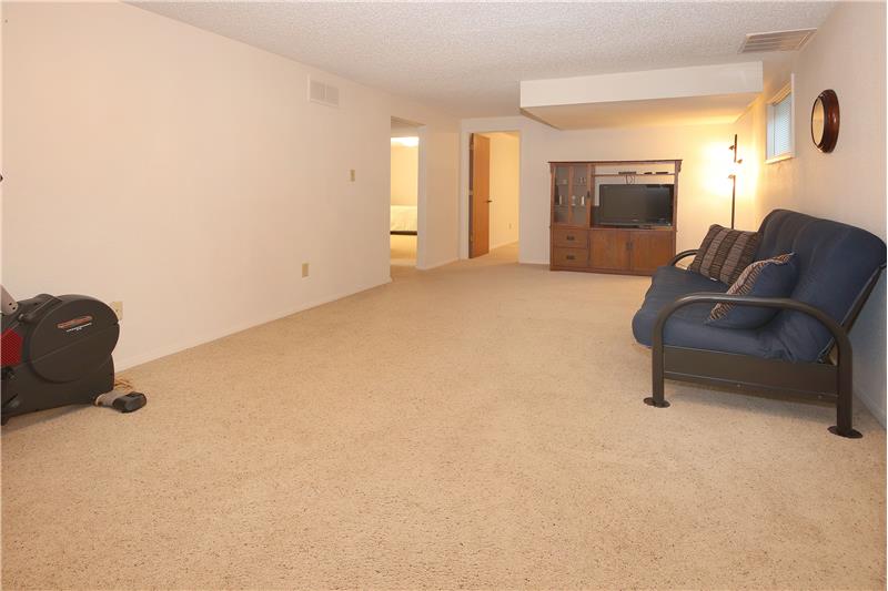 Remodeled Basement Rec Room