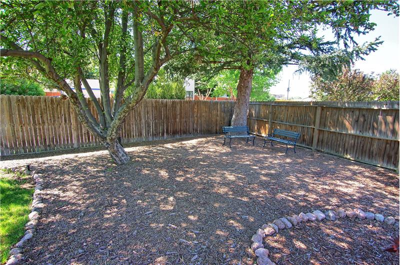 Garden Beds with Mature Trees for Privacy and Shade