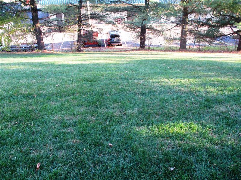 .17 acre lot backyard