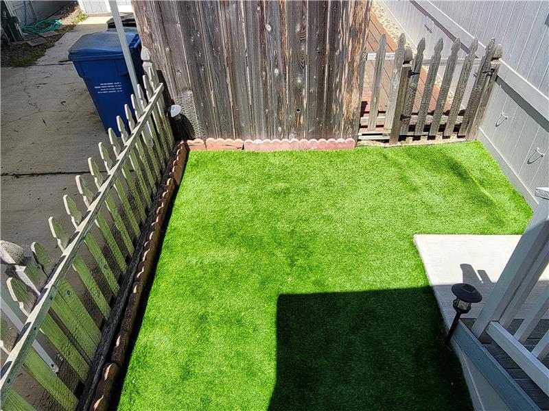 Outdoor turf for the little rascals, both 2 & 4 legged!