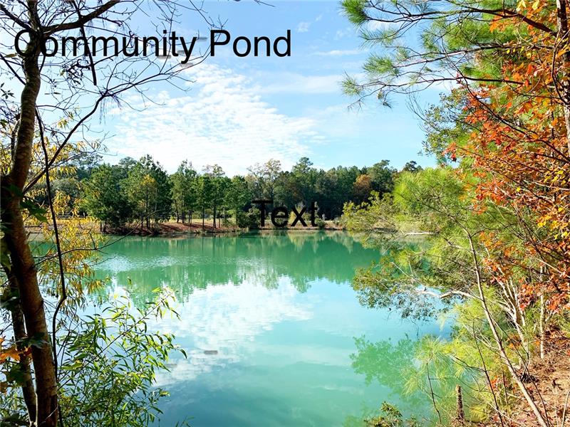 Community Lake