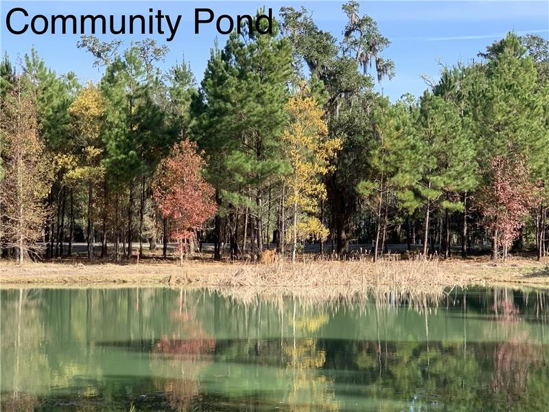 2nd Community Lake