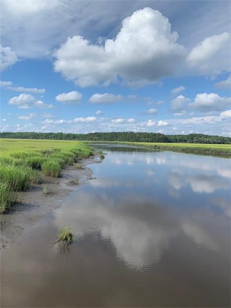 The Pocotaligo River