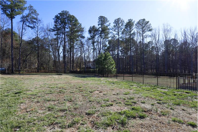 Fully Fenced Back Yard - Gates On Each Side