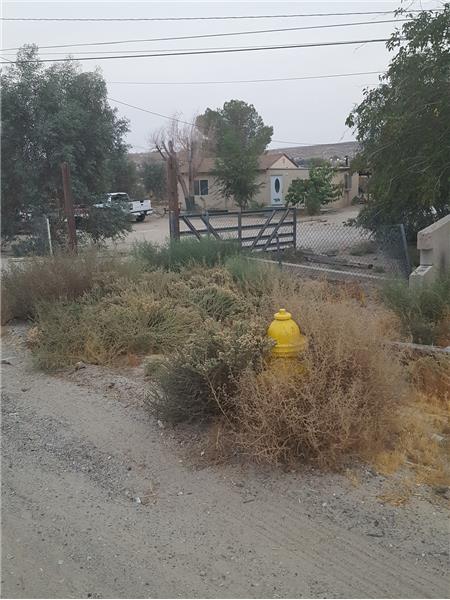 fire hydrant in front of property