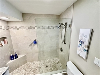 Main Full Bath Shower