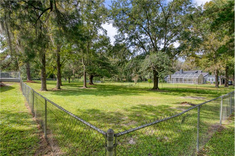 Fenced Backyard
