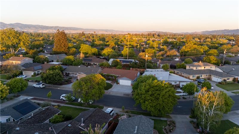 Drone - Beautiful Tree Lined Streets