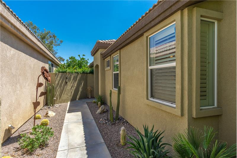 Easy care desert scape