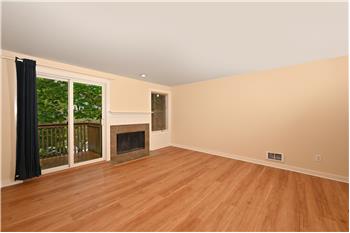 Wood Burning Fireplace