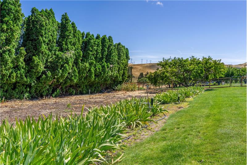 
                            Property Image 54