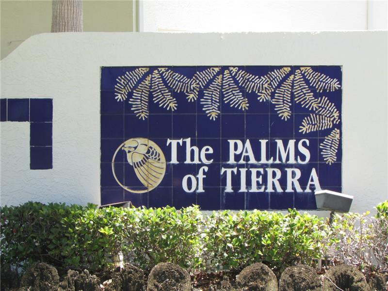 The Palms of Tierra