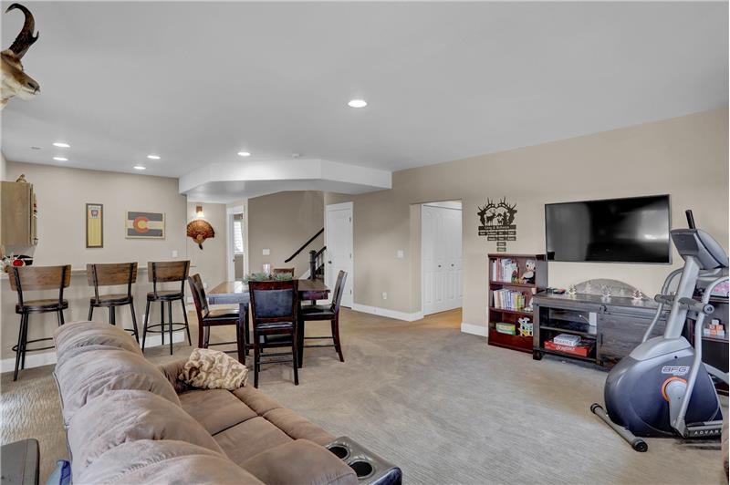 Basement Family Room