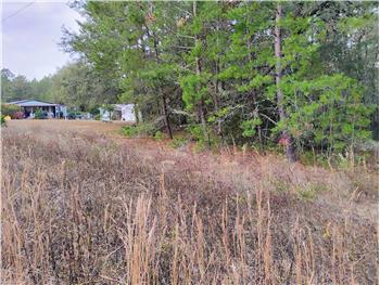 Primary listing photos for listing ID 642425