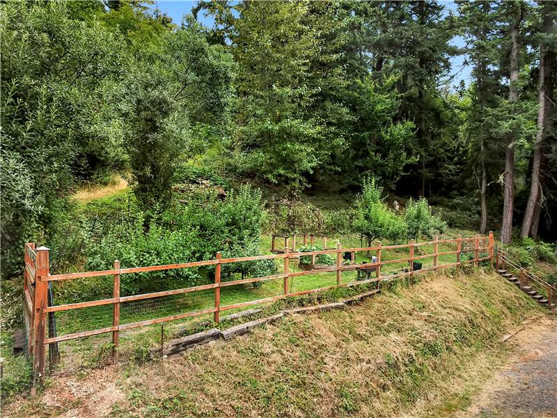 Fenced garden area