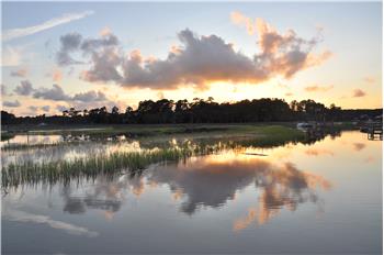 Primary listing photos for listing ID 551887