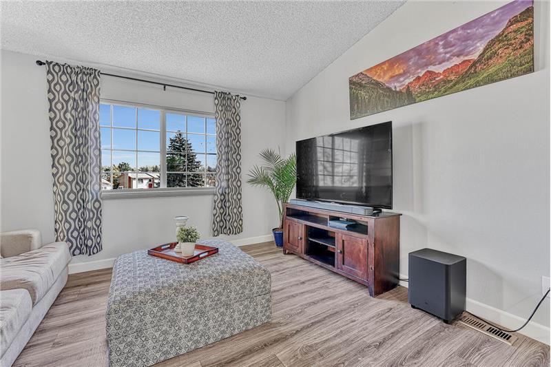 Vaulted Living Room