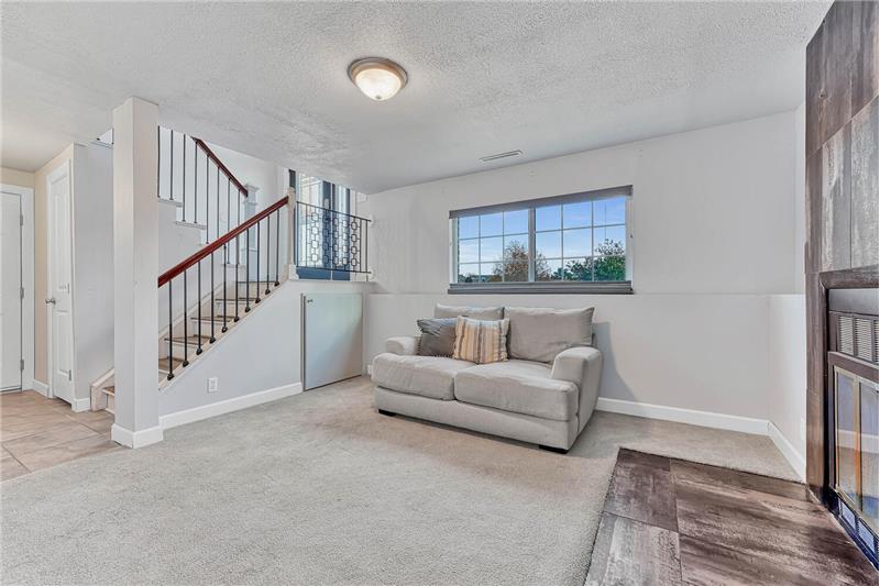 Lower Level Family Room 