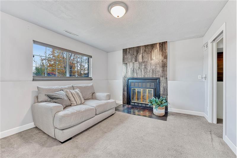 Lower Level Family Room w/wood-burning fireplace