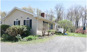 The house is framed by tall trees