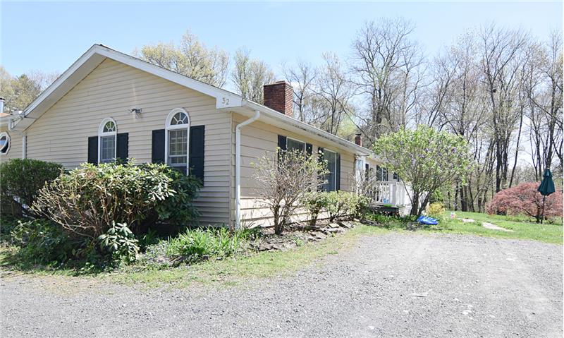 The house is framed by tall trees
