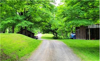 The sheep barn and cottage on opposite sides of the driveway