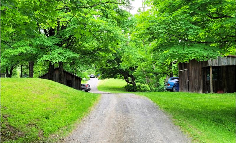 The sheep barn and cottage on opposite sides of the driveway
