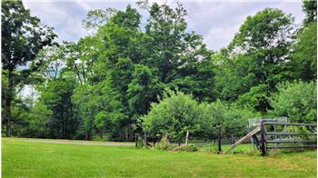 Fenced in garden area