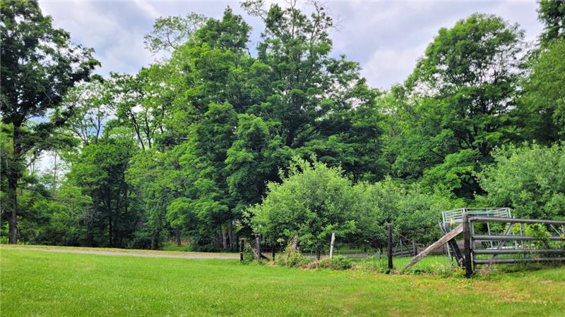 Fenced in garden area
