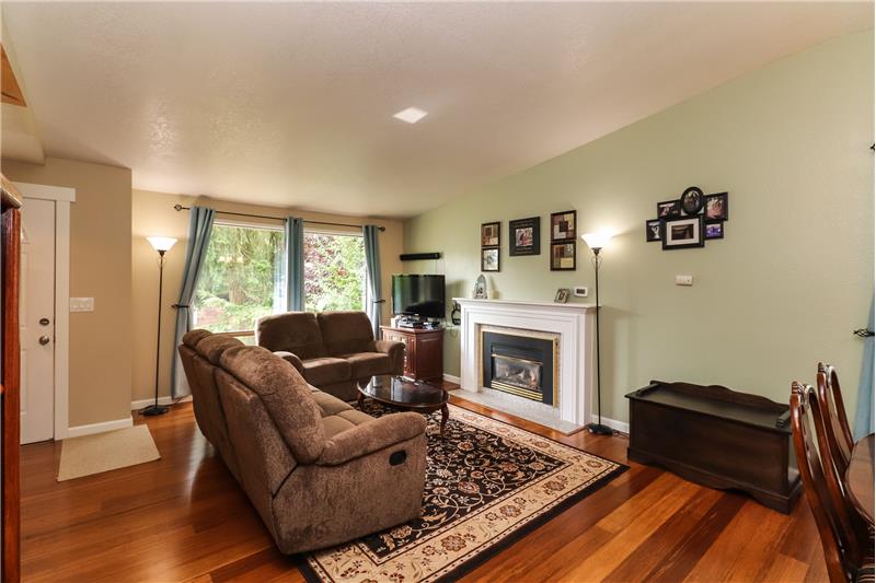 Gas fireplace