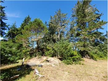 32425 Douglas Dr, Oysterville, WA