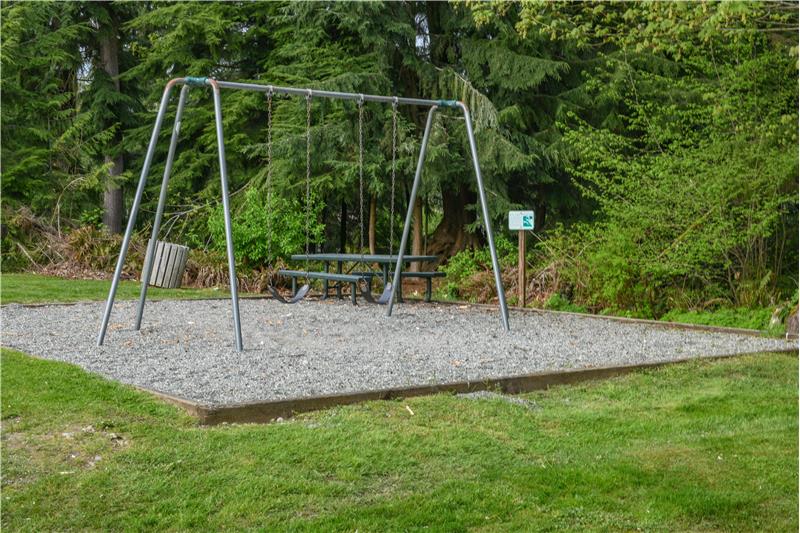 Neighborhood swing set.