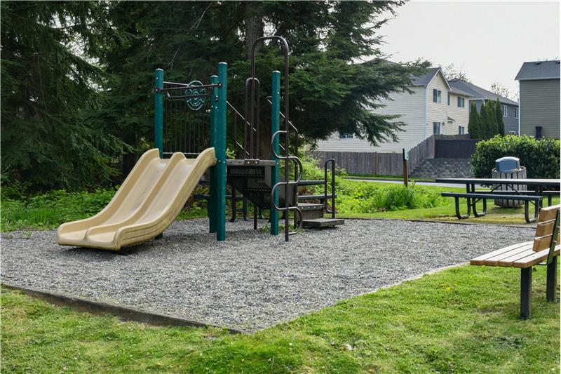 Neighborhood playset, picnic tables, and BBQ.
