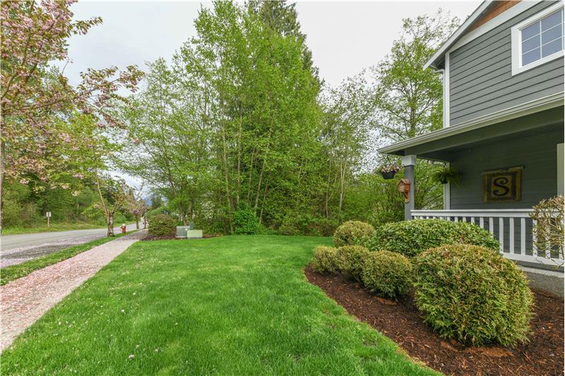 Front lawn with sidewalk. Super peaceful setting.