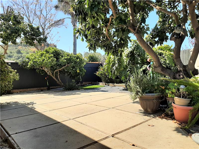 A Courtyard Balanced with Open Space and Mature, Healthy Fruit Trees.