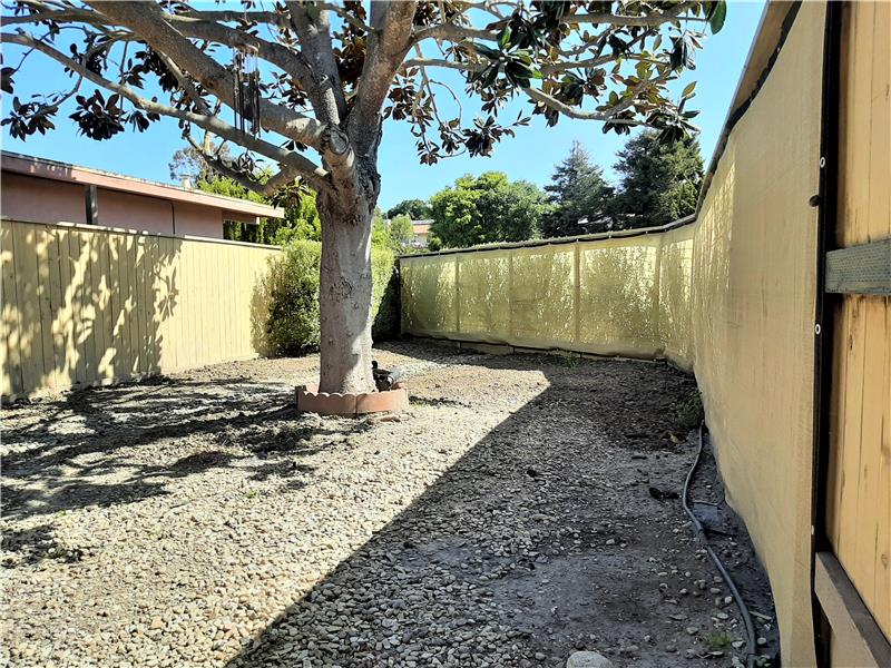 The Natural Tones of the Privacy Fencing makes a great start to whatever you might choose to do with this space...