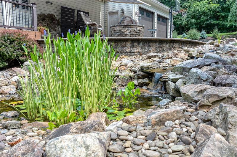 Fish Pond and Waterfall